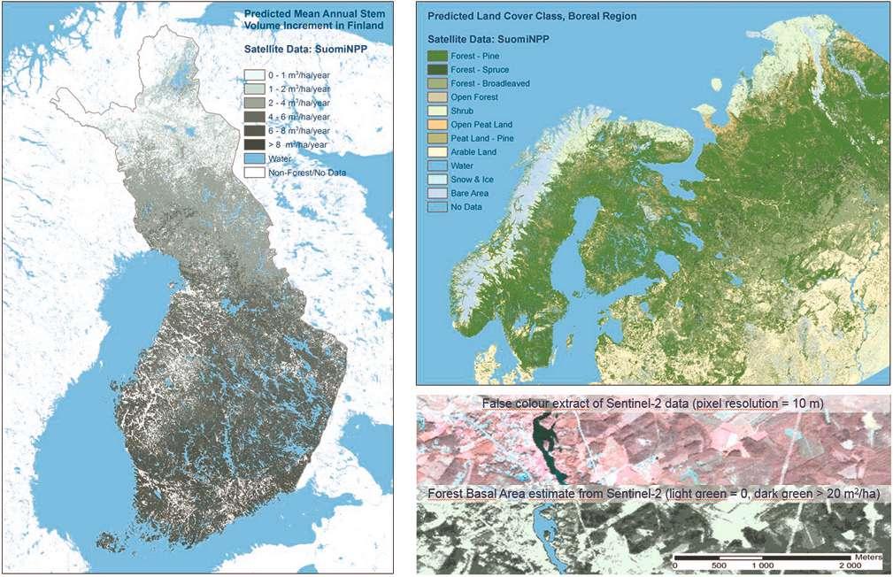 Satelliittikuvis ta las kettujen mets ämuuttujaennusteiden ja hiilimallien yhdistäminen Sentinel-2, Sentinel-1 ja Suomi