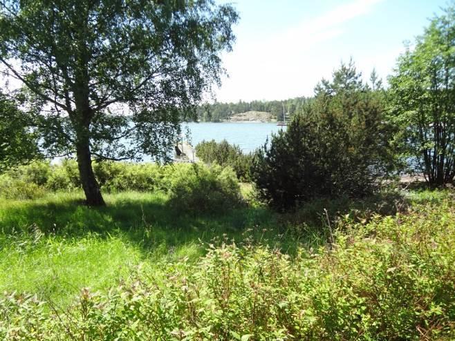 ÖFVERGÅRDIN RANTA-ASEMAKAAVA SELOSTUS 15(43) Kallioalueilla oleviin notkelmiin on paikoin muodostunut pienialaisia kosteikkoja.