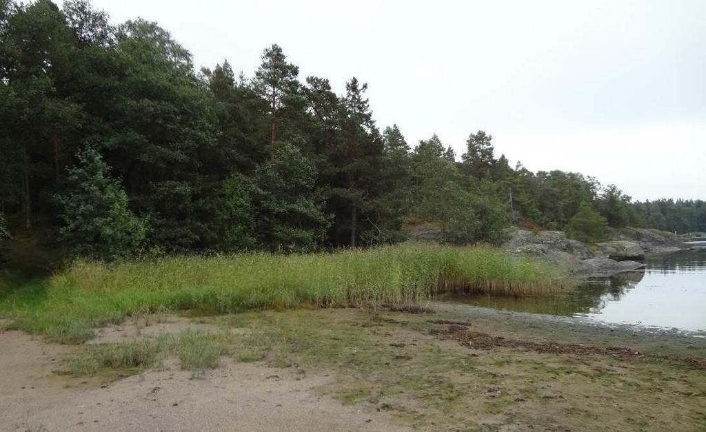 36(43) SELOSTUS ÖFVERGÅRDIN RANTA-ASEMAKAAVA Kulttuuriympäristö ja maisema Ranta-asemakaava-alueella ei ole rakennuskulttuuriarvoja, joihin kaavan toteutuminen voisi vaikuttaa.