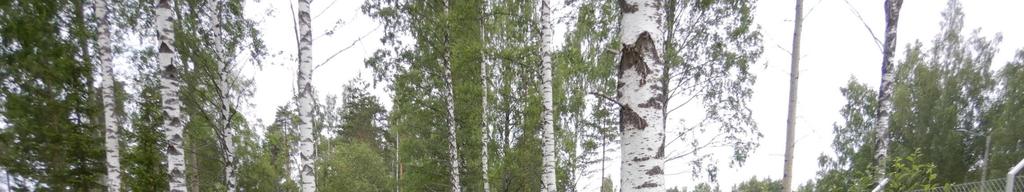 Alueella oli silloin ruderaattia (joutomaa-aluetta) ja ketolaikkuja,