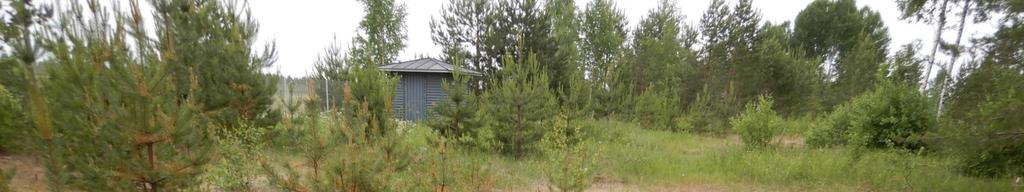 Selvitysalue sijoittuu lähelle hyönteislajistoltaan arvokasta ja monipuolista Lappeenrannan lentokentän aluetta.