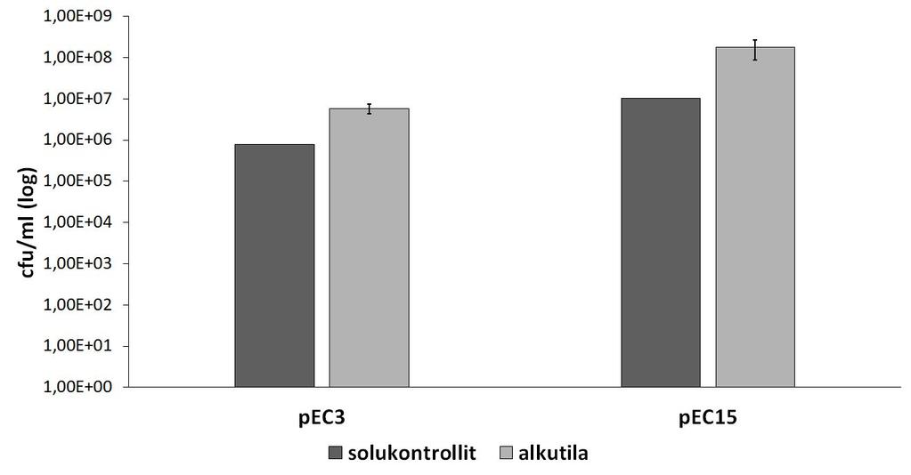 19 bakteerien keskimääräinen määrä kussakin näytteessä yksikössä cfu/ml. Solukontrolli- ja alkutilamaljojen solumäärät on esitetty kuvassa 3.