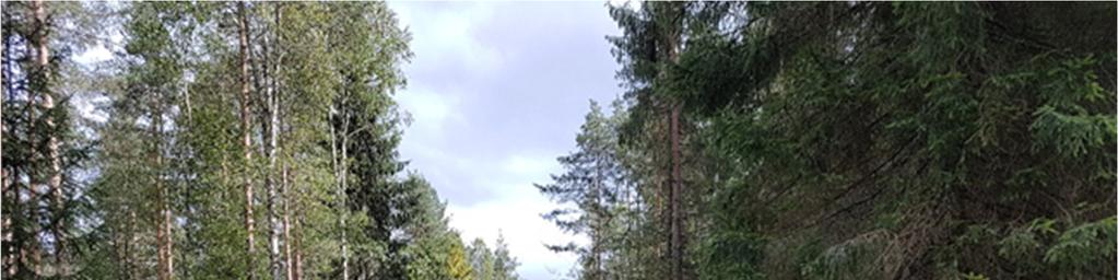Metsiköiden korjuukelpoisuuden arviointiin on tuotettu kaikille avoimet korjuukelpoisuuskartat, joiden perusteella voidaan arvioida