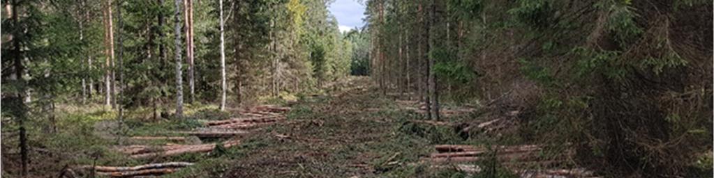 Hyvällä ennakkosuunnittelulla voidaan lisätä kesäaikaiseen korjuuseen soveltuvien kohteiden määrää.