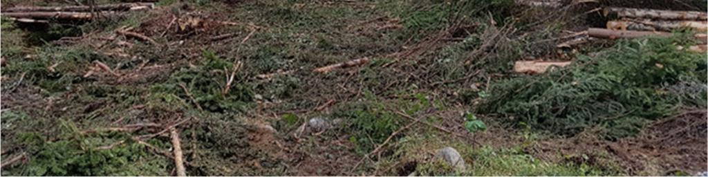 3) Metsäkuljetusmatka (maastokuljetusmatka) Metsäkuljetusmatka tarkoittaa puumäärällä painotettua keskikuljetusmatkaa metsästä