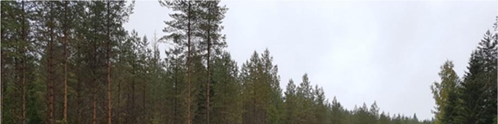 Varastopaikkaa ei saa sijoittaa: 1) maanteiden numero 1-99 (valta- tai kantatie) varteen, myös peruuttaminen varastopistoille näiltä teiltä on kielletty