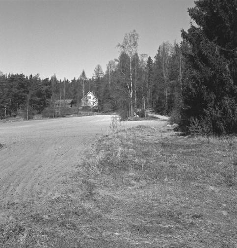 suuren kuusen kohdalla on vanha kylän lähde, kuvattu