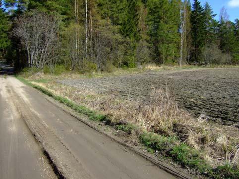 684: 8 Oletetun keskiaikaisen kylätontin pohjoisreunaa,