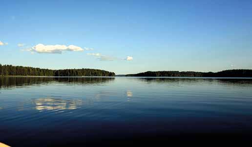 Hämärän hetket ovat otollisimpia aikoja saaliin saamiseen, sillä pikkukalat tulevat pois suojistaan auringon nousun ja laskun aikoihin hyönteisiä pyydystämään.