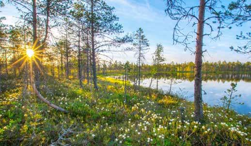 TEKEMISTÄ MAJOITUS RUOKAILU 16 Juha-Pekka Paananen PYHÄ-HÄKIN KANSALLISPUISTO Lähde erämaan rauhaan, ainutlaatuiseen luontoon retkeilemään!