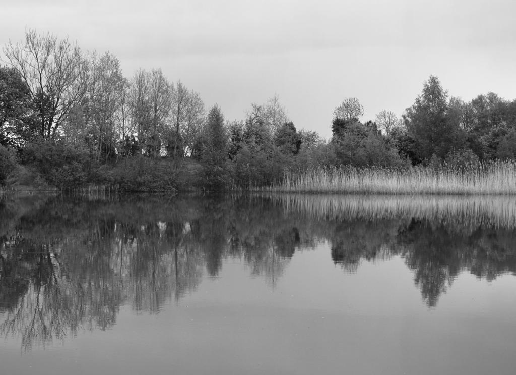 Kuressaare Gümnaasiumi õpilased 2006/2007 õ. a.