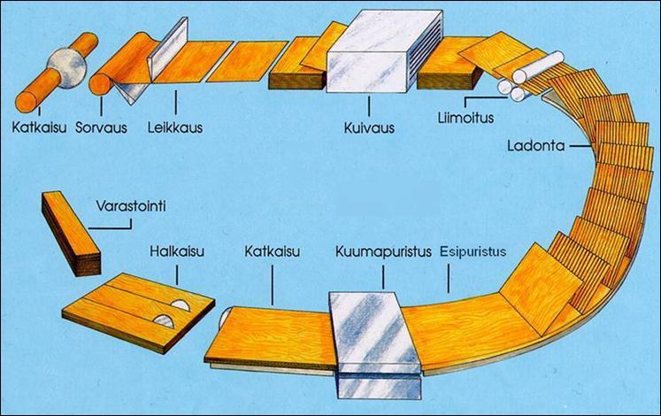 10 (43) 3 KERTOPUUN VALMISTUSPROSESSI Seuraavissa luvuissa on esitetty vaihe vaiheelta mitä kertopuun valmistusprosessiin Metsä Woodin Lohjan tehtaalla sisältyy.