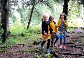 Arboretum Mustilassa riittää paksuja runkoja halailtavaksi. Alppiruusulajikkeita Kuutostien varrella Raisa.