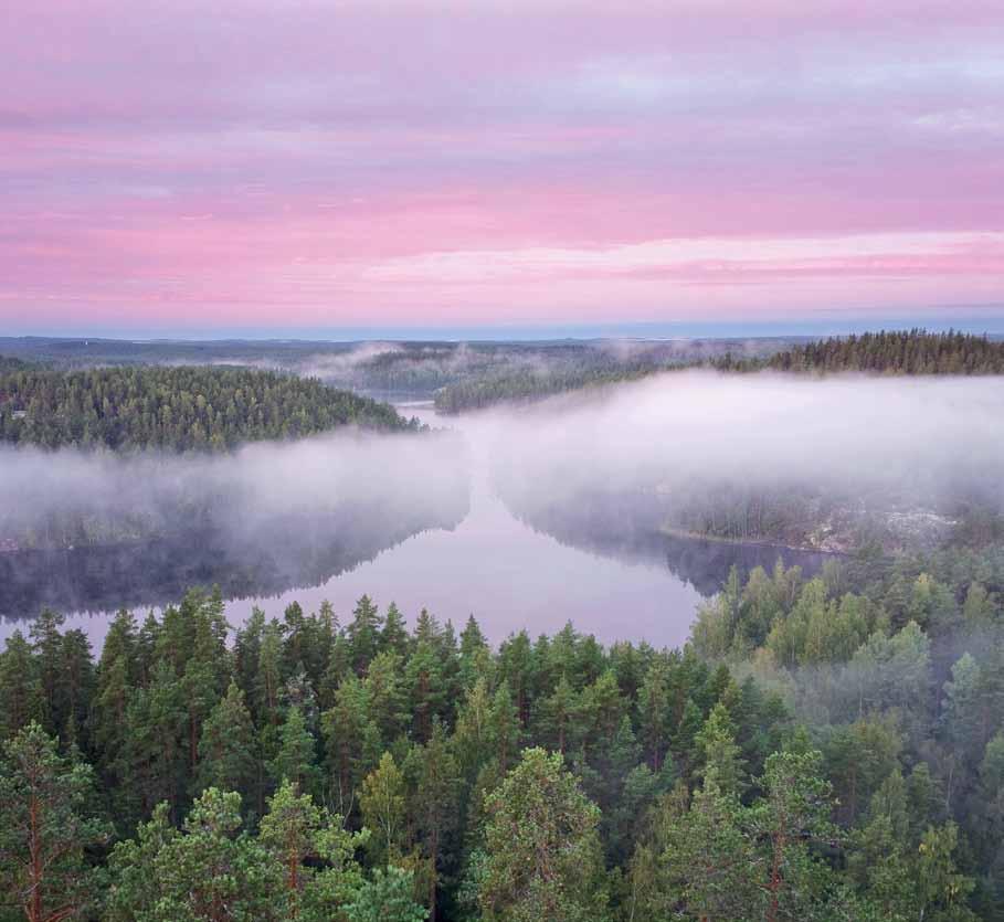 Repoveden kuvat esillä Repoveden luontokuvakilpailu etsii sykähdyttäviä kuvia Repoveden kansallispuistosta. Niistä koottu näyttely on esillä kesällä Vuohijärven luonto- ja kulttuuritalossa.