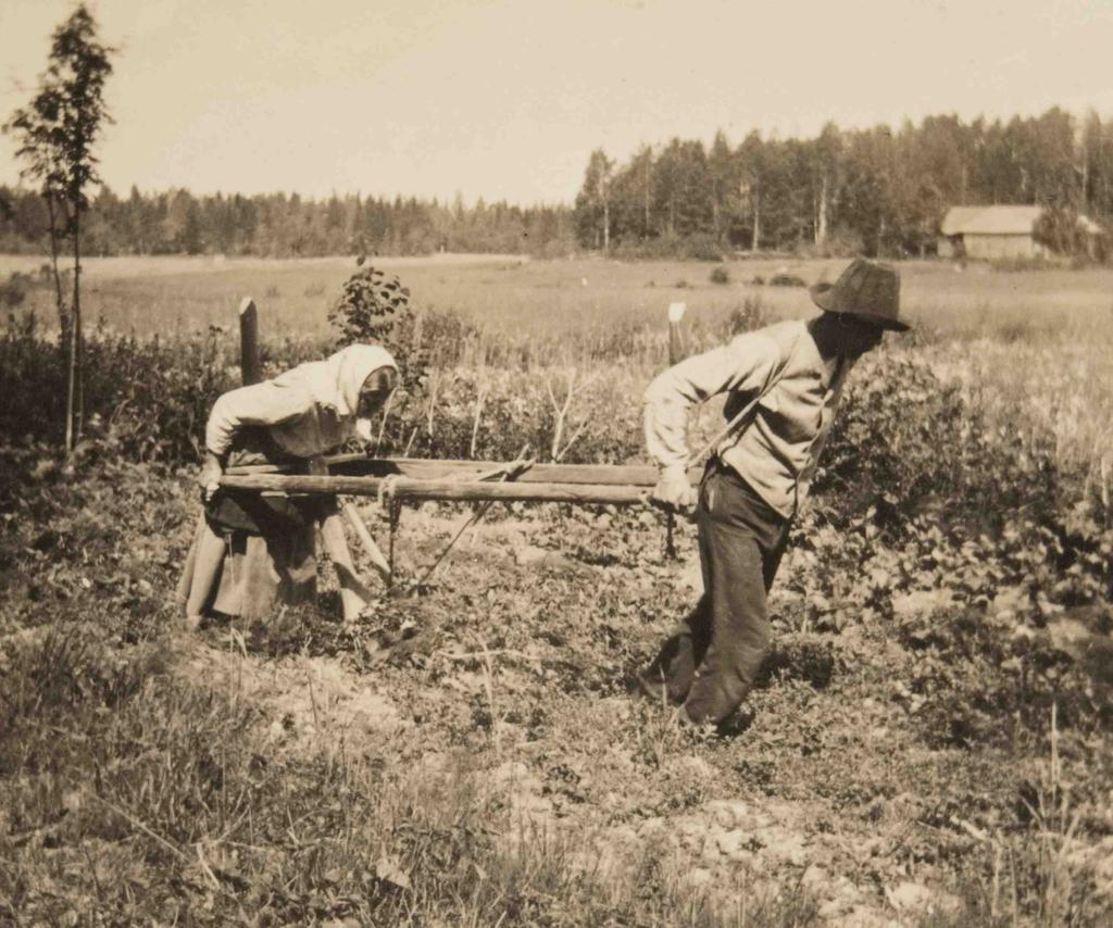asukasta 1764 Järvenojaan paperitehdas 1776 Suomenkielinen sanomalehti Turussa 2/kk 1806 Pankki perustettiin Turkuun 1840 Turussa valokuvaus herätti huomiota 1850 Vaasassa höyrymylly 1862 Juna