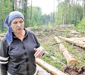 Tämä hoppu Saturn Nordstroi -laitoksen da kyläläzien keskes jatkuu jo kodvan aigua. Oldih suvvot, piettih ekspertiizoi, ga yksikai meččiä ruvettih kuadamah karjeran kaivamizekse.