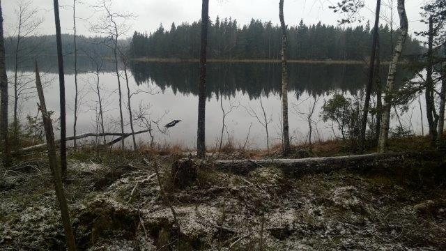 Tila soveltuu erinomaisesti lomarakentamiseen. KUVA 1 ja 2.