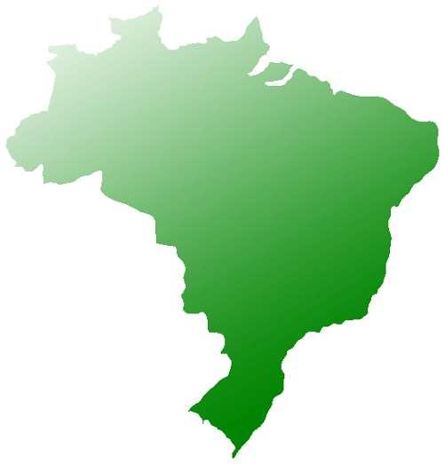 THE GROUP 100% Brazilian Capital Vertically Integrated