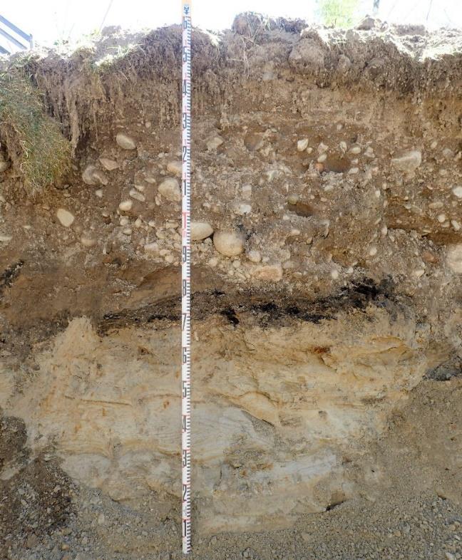 11 Alue 9 Laajuus 1,6 x 12 m. Kerrokset (cm): 0 11 nurmi ja sen perustus, 11 83 harjusora (täyttömaa), 83 94 palokerros, jossa isoja hiiltyneitä puunpaloja, 94 157 puhdas vaalea hiekka.