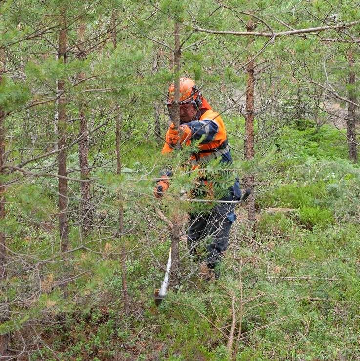 Pari käytännön