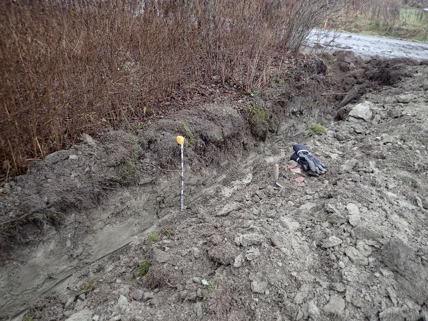 7 osuudelta ei havaittu kiinteitä rakenteita.