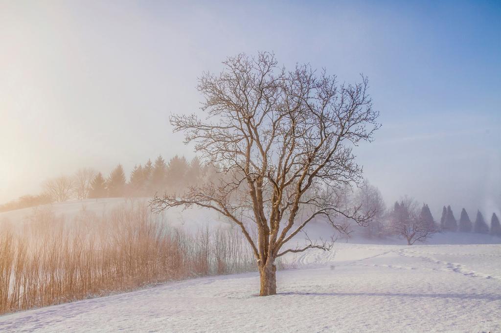 8 Tapahtumat 2019 UNSPLASH EKOPAASTO alkaa Valtakunnallista Ekopaasto-kampanjaa on toteutettu vuodesta 2012.