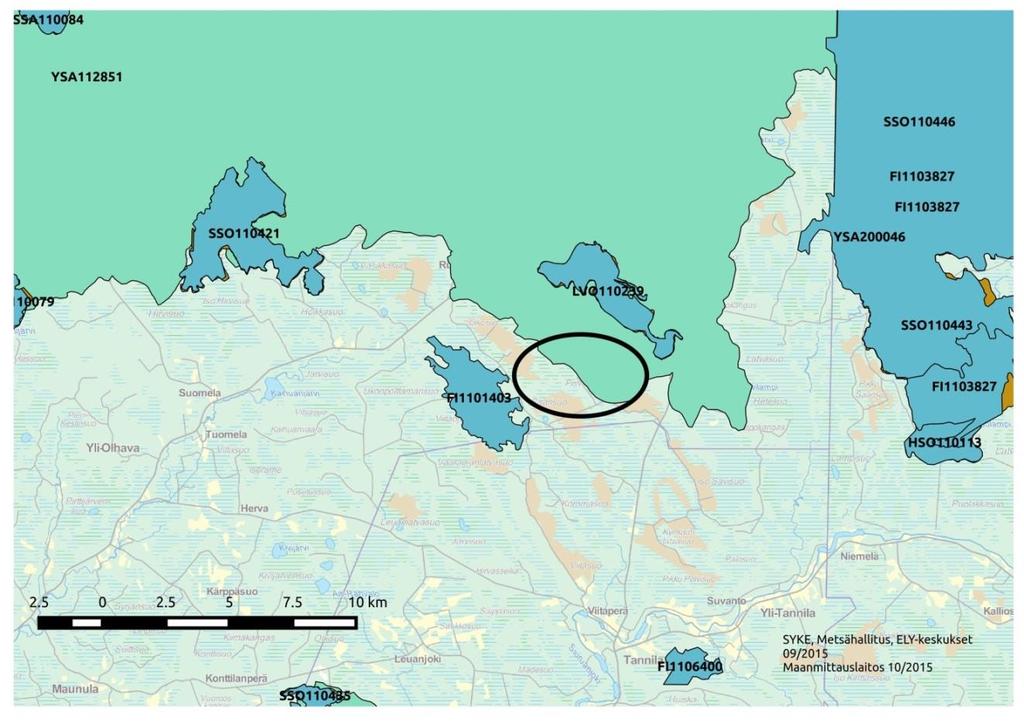 11.2.2016 9 (24) Aapasuon syrjäosien suokasvillisuustyyppejä ovat mm.