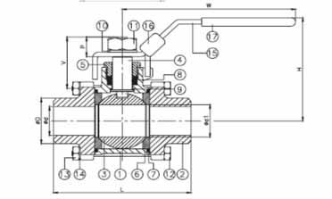 34 25 95 76 158,5 32 1 1/4" 32 42,5 32 111,2 81 158,5 40 1 1/2" 38 48,5 38 130,6 98 188 50 2" 50 61 50 151 106 188 65 2 1/2" 65 77 65 185 138 245 80 3" 80 90 80 212 154 290 100 4" 100 115 100 235 178