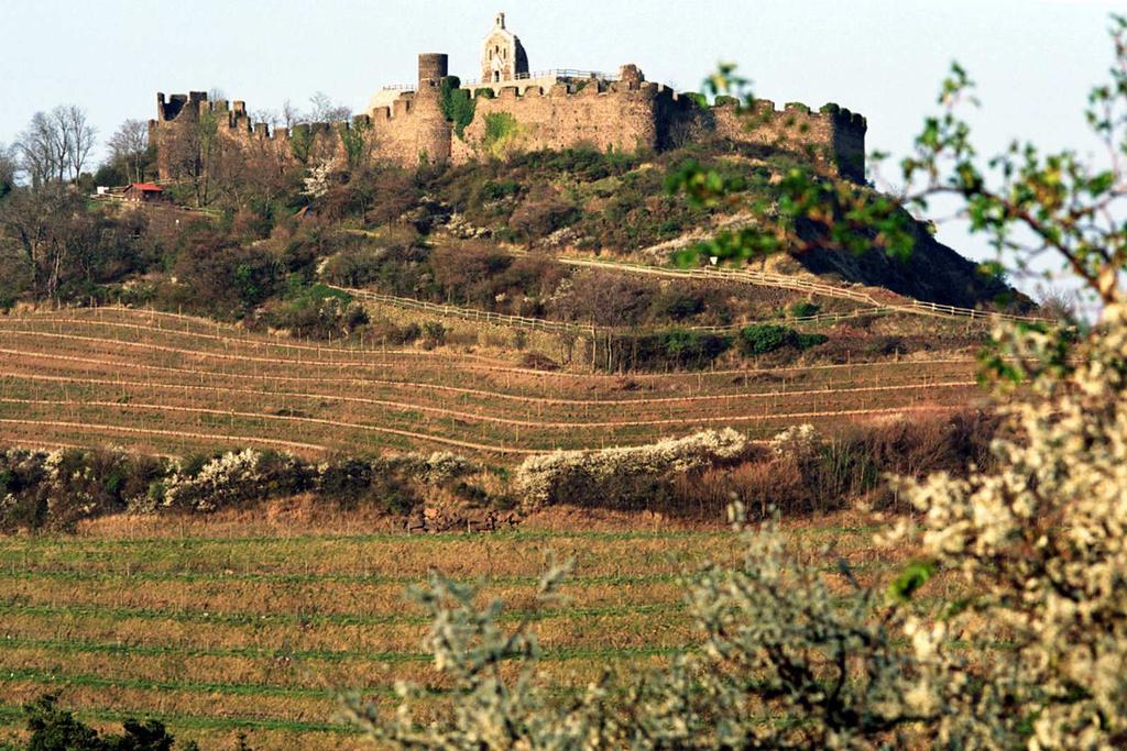 Pitkät perinteet myös velvoi&avat: laadukkaat viinit ovat Bourgueil n alueen sekä koko Loiren parhaimmistoa.
