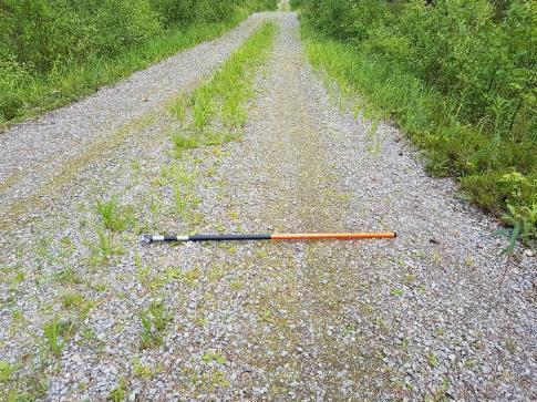 Tie hyvässä kunnossa, puuta kuljetettu 160 m3 kesällä - Kohtalaiset