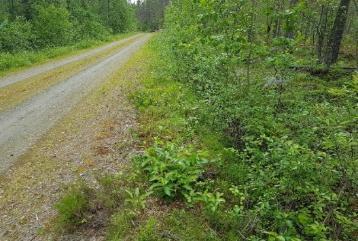 KUAB-laitteelle mitattujen metsäteiden päällysrakenteen kantavuuksissa on aina otettava huomioon myös pohjamaan vaikutus kantavuuteen, koska metsätien runko rakennetaan aina paikallisesta, sivuojasta