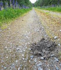 ollessa pehmeä, ilmeisesti kelirikon aikana - Koko 20 cm