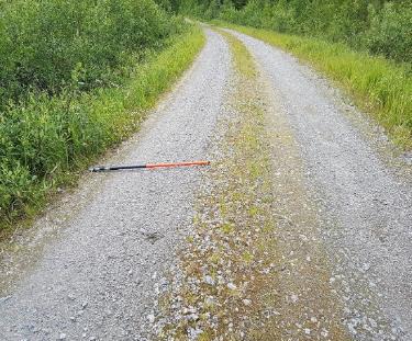 pinta näyttää silmävaraisesti tarkasteltuna kantavalta.