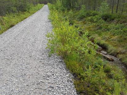 tarkasteluna kantavan näköinen rakenne - Ei uria, ei puunkuljetuksia - Ojat