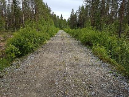 Massiivituhkapatja on tiivistetty Ecolanin rakeistetusta tuhkasta - Kuivatus