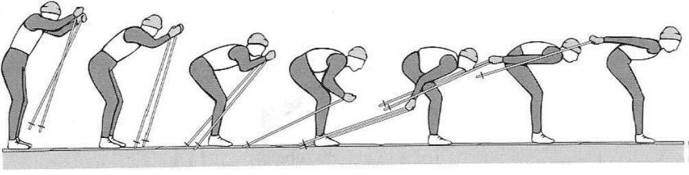40 Kuvio 19. Tasatyönnön tekniikka (Rusko 2003, 42.) Yksipotkuisessa tasatyönnössä yhdistyy ylävartalon voimakas tasatyöntö ja vuorohiihdon potku.