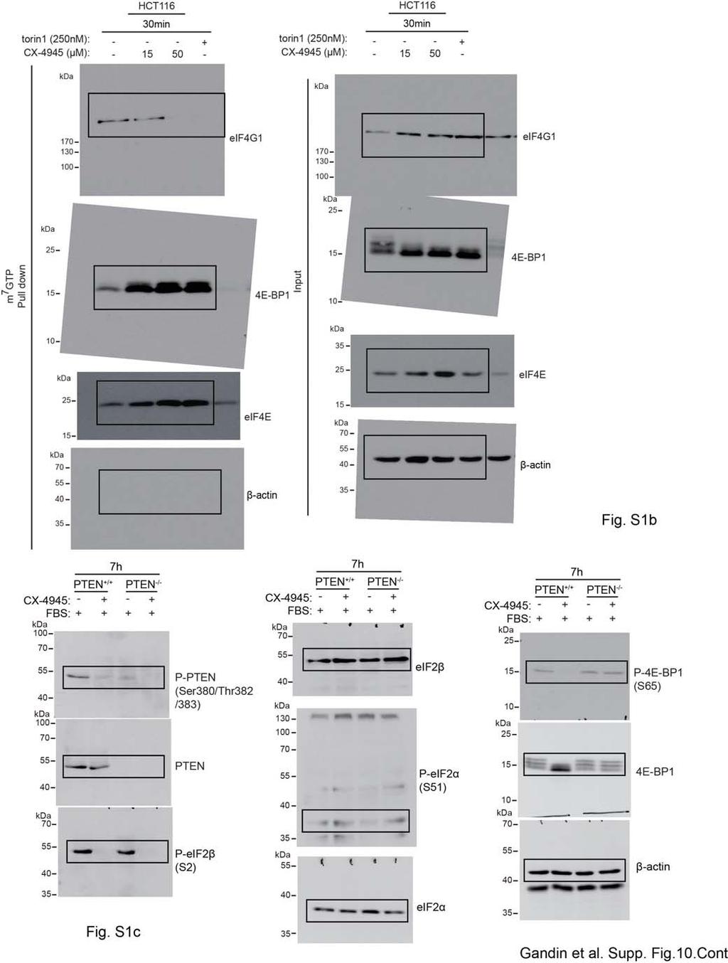 Supplementary Fig.
