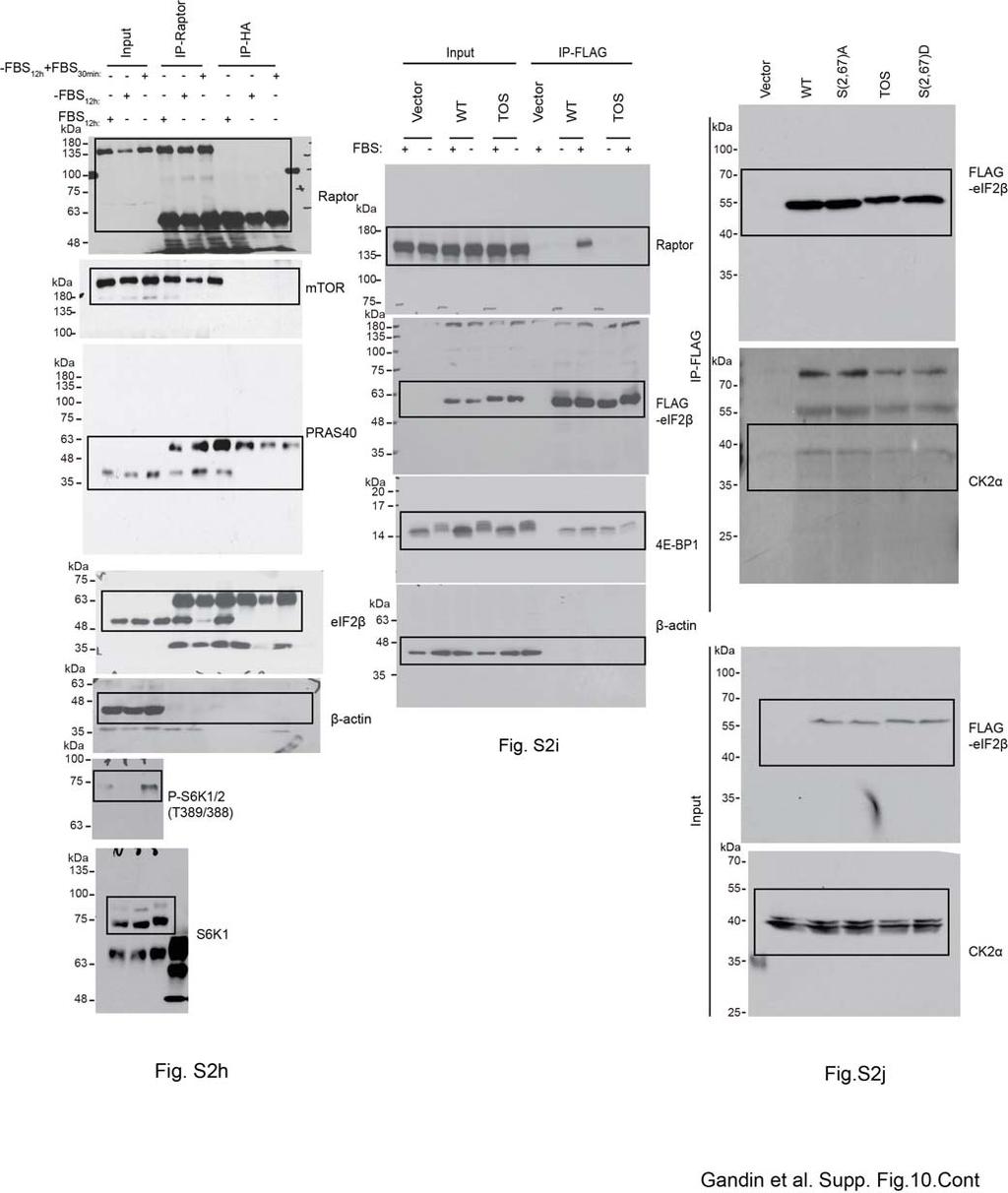 Supplementary Fig.