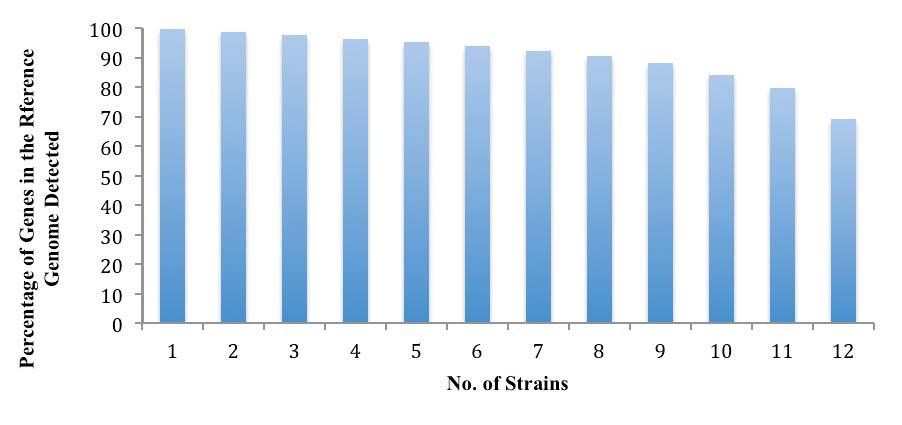 Supplementary Figure 3 The cumulative number of genes in the reference genome not detected in the indicated number of strains (~9000 variable genes are not detected in at least one strain, but all of