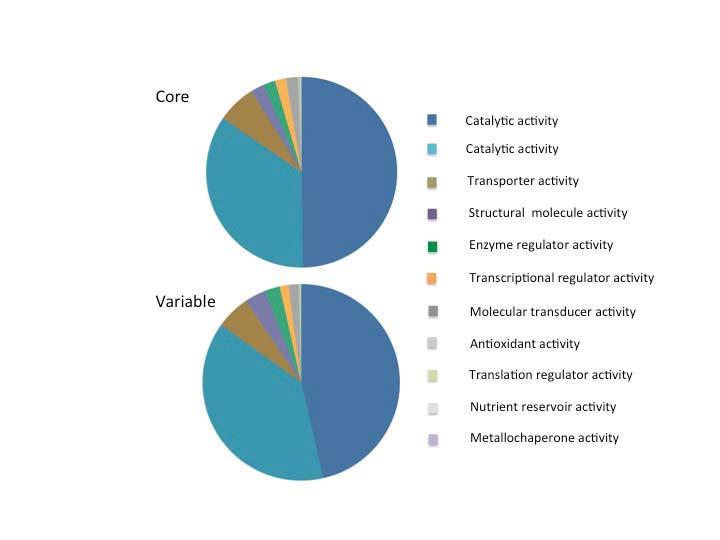 Supplementary Figure 6 Pie charts of the function categories of genes in the pan genome (core and variable sets based on the reference strain CCMP 1516).