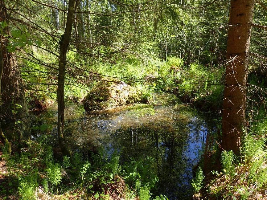 Lähteestä ei lähde varsinaista purku-uomaa, vaan vesi suotautuu alapuoliseen maastoon pintavaluntana.