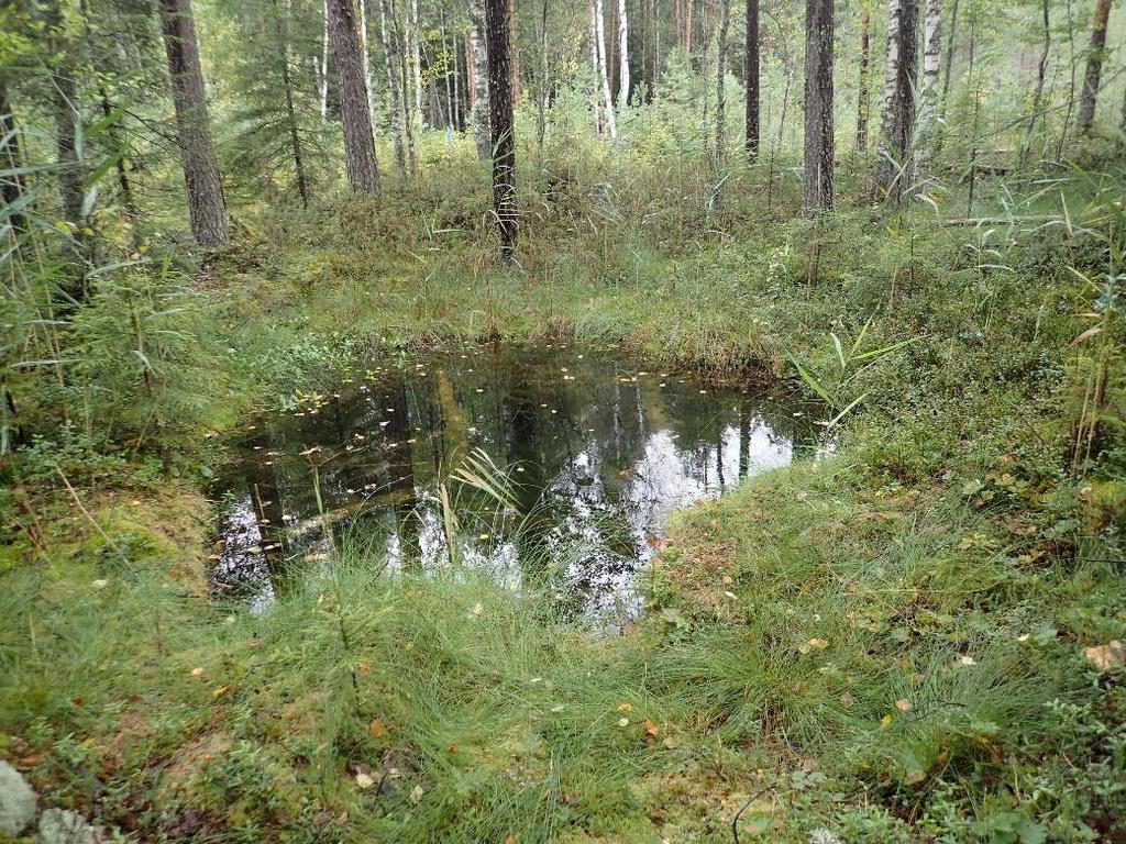 eikä kohdetta näin ollen katsottu merkittäväksi. Kuva 11. Luonnontilainen avolähde, joka on suojeltu vesilailla.