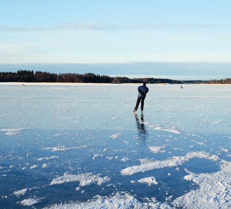 Suurimpia syitä tähän olivat hiilen kulutuksen kasvu ja biopolttoaineiden osuuden pieneneminen liikenteen polttoaineiden käytössä.