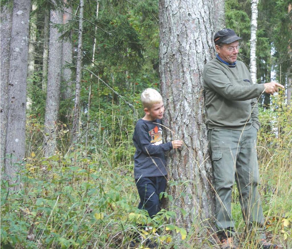 sivu 4 Pääministeri arvostaa metsänomistajia.