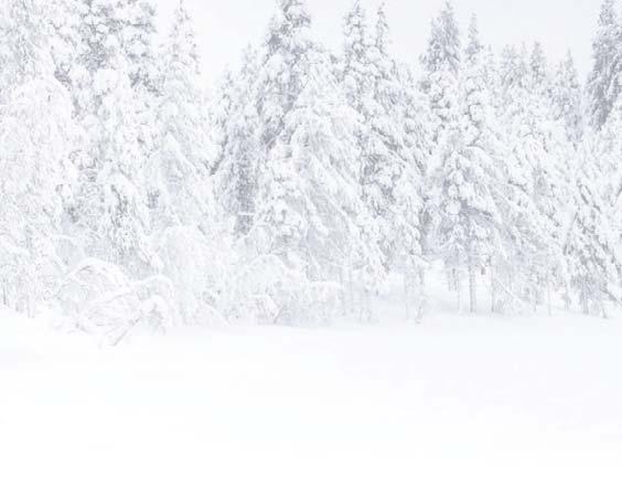 16 Leikko 1/2019 Haemme kahta metsätoimihenkilöä Mhy Pudasjärvi, Taivalkoski ja Kuusamo yhdistyivät 1.1.2019 alkaen Mhy Koillismaa ry:ksi.