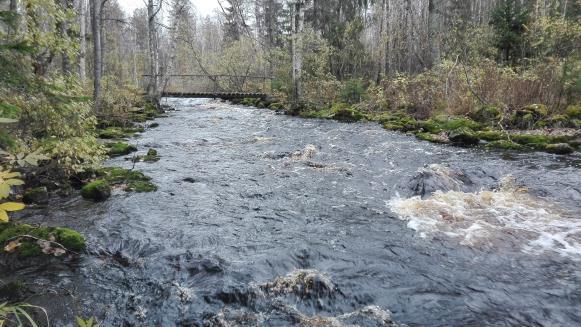 VIIVAJOEN KALATALOUDELLINEN YHTEISTARKKAILU