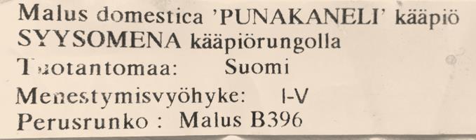 rajojen ulkopuolelta.