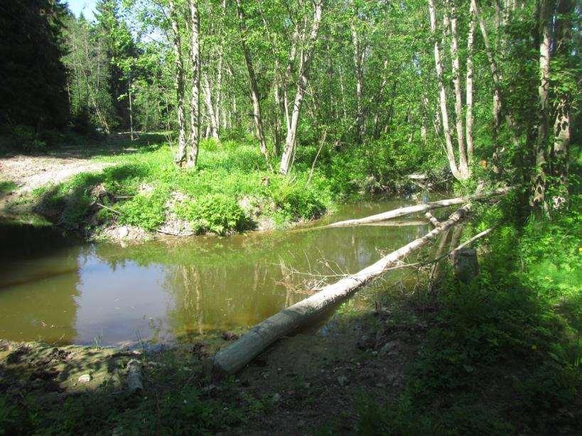 Purojen monimuotoisuuden lisääminen Alivesiuomaan ja aiemmin perattuihin puroihin suositellaan lisättäväksi soraa, kiviä ja puuainesta Toimivat eroosiosuojana Pyörteisyys ja paikallinen virran