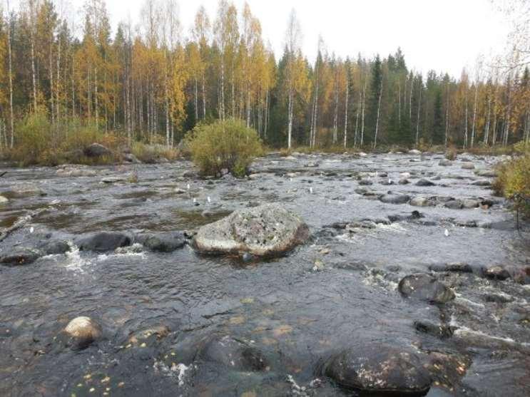 Ympäristövirtaamat Eliöiden, virkistyskäytön ja maiseman takia tarvittava virtaama joessa tai purossa Kuivilleen jääneisiin jokiuomiin tarvitaan virtaama, joka mahdollistaa kalojen poikastuotannon