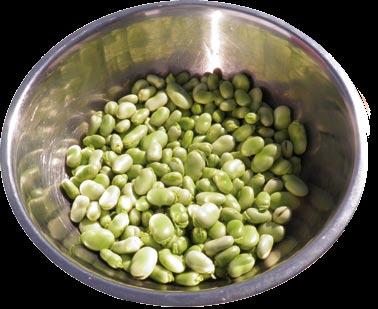 Lehtikaaliwokki Härkäpapupihvi Palsternakkamuusi Mustikkavoi 25 annosta á 250 g Saanto
